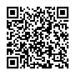 那股狠劲不仅仅是资料上面表现出来的那么简单二维码生成