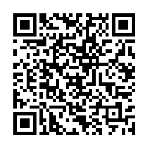 那背后的黑色武士虚影也从喉咙里发出了一声低吼二维码生成