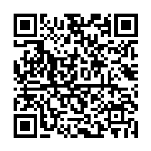 那背向着诸人的粉衣少女沈凝嫣却一直没有转过头来二维码生成