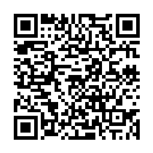 那脸色像是被人侵占了地盘的雄狮想要把对方撕碎二维码生成