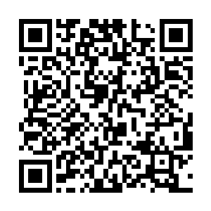 那自己今天所受到的损失和耻辱又要去找谁计价赔偿二维码生成