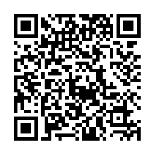 那自血湖之中传来的种种干扰和牵扯比之前要大上数倍二维码生成