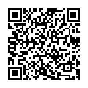 那花瓣上滴落的一滴水珠就直接灭掉了第一波来试探的仙人后二维码生成