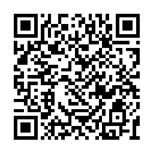 那苍白的脸庞此刻却仿佛染上了一层病态的潮红二维码生成