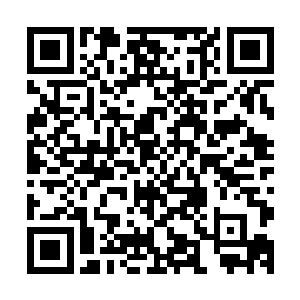 那苏家的老奴原本只是在无赦谷的外门山门处战战兢兢地通报二维码生成