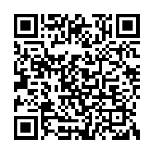 那蒲信圭在倪破等高手眼里确实是无知且可笑的二维码生成