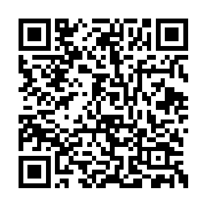 那藏尸会先灭杀里也临死前定下的最后一个目标二维码生成