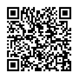 那虎妖圣子之前在那里站了许久也没有被流星正面撞击二维码生成