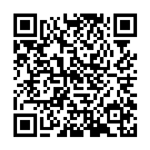 那螺旋桨既然可以再地面上推动滑翔机让滑翔机前进二维码生成