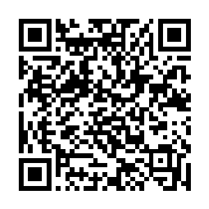 那血玉一般的八卦上也忽然浮现出了强大的五行之力二维码生成