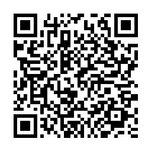 那表情就好像看到的不是一堆大便而是一群美女和满地的财宝二维码生成