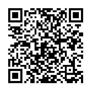 那被流墨墨和吴幸严密关注的白发白眸的仙人淡淡开口说道二维码生成