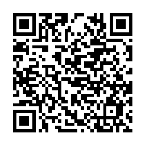 那覆盖了一层诡异黑色金属甲的手直接拍在了刀上二维码生成