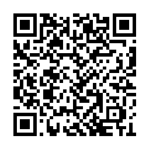 那覆盖着厚厚积雪的雪原已然变得如一块明镜般二维码生成