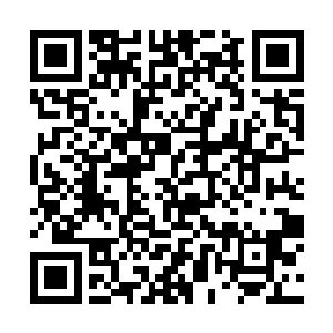 那让他用八宝琉璃石练就的这一身初阶神兵级的长袍二维码生成
