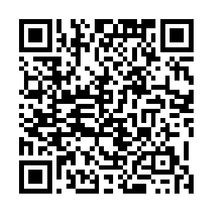 那许紫烟率领着我们许家的几支后裔占据修炼圣地莲花峰二维码生成