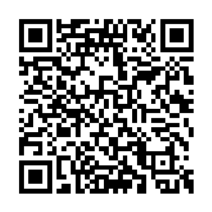 那诡异的虫子也再一次钻进了他弟子的眉心之中二维码生成