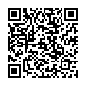 那说明伯母的厨艺已经达到了望色知味的高境界了二维码生成