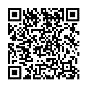 那谢家抱错丹女的事岂不是公布于众人尽皆知了二维码生成