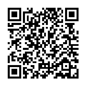 那负面效果一旦触发……就意味着单人剧本直接失败二维码生成