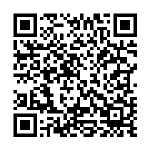 那货就总爱说些对敌人慈悲就是跟自己小命过不去的大道理二维码生成