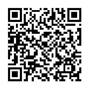 那超过一百名圣王以及一名圣皇境界的盖世强者二维码生成