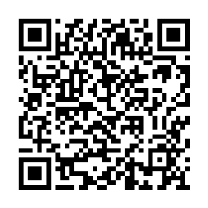 那身后跟着的中年男子和半大老者却是气息深幽二维码生成