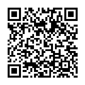 那辆专门装行李的驴车上放满了大大小小的竹筐二维码生成