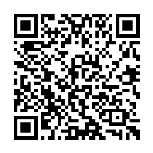 那边也未必就真的想置自己的这一具身体于死地二维码生成