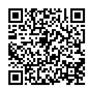 那边是只要是我看过的笔迹就会临摹的惟妙惟肖二维码生成