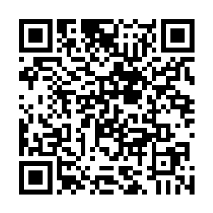 那边的窥天者大部分都给寒仙门的萧剑岚让弟子杀干净了二维码生成