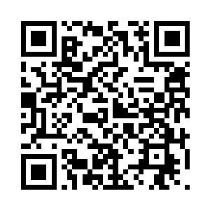 那边的维和部队经常会有伤亡的消息传过来二维码生成