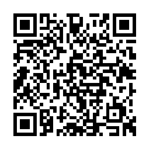 那边许氏拿着厨屋门口的笤帚扔进了屋里门后面二维码生成
