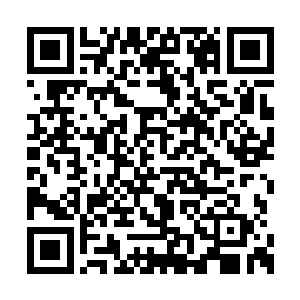 那边还有几对道侣正在那里借着夜色谈着情说爱二维码生成