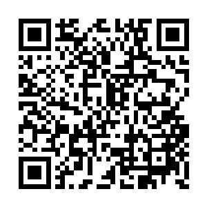 那还在剧烈挣扎的身体有过刹那想举起那支步枪二维码生成