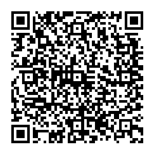 那这里的时间之塔是不是大多数时候也只是被长老弟子们用来修行大荒无尽藏真言而不是凝聚脉轮二维码生成