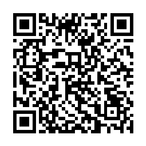 那速度甚至已经快到他们连往里看的机会都来不及了二维码生成