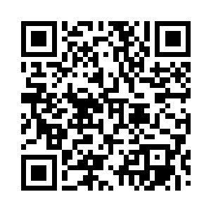 那道依然在不断向上攀升的血脉之光二维码生成