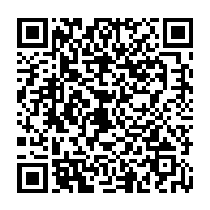那道绿莹莹的能量居然可以被闫九龙的精神力给控制着朝着自己追踪而去二维码生成