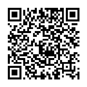 那遮天的大手径直地向着横亘在空中斩下来的巨剑握去二维码生成