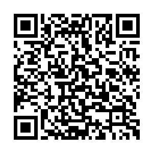 那邪修虽然感觉到杨晨身上爆发出来的惊人力量二维码生成
