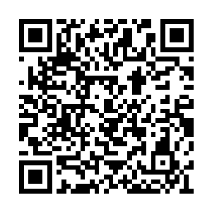 那邪恶的毒蚊开始迅速的喷吐出来了大量的毒雾二维码生成