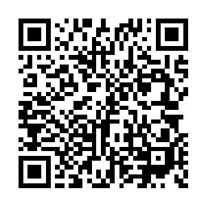 那都会呆在某些家族或者是门派里头坐镇养老的二维码生成