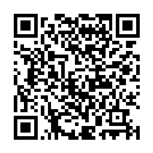 那里汇聚了无数年来所有蛮族强者的记忆和珍贵的巫术二维码生成