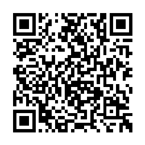 那里能够准确地俯瞰整一个蟠龙寺院的周边地区二维码生成