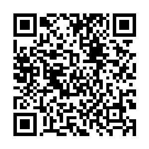 那里面一只双眼猩红的猴子忽然就像是从睡梦中醒来二维码生成