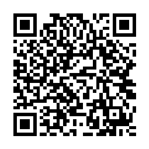 那金元师兄不由得想到了那位在宗门之中高高在上的宗主大人二维码生成