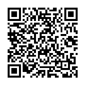 那金桥便看似缓慢实则极快地载着夏云杰等人缩回了巫殿二维码生成