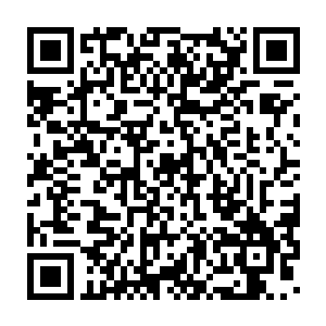 那金甲天书正是谭师叔……谭君昊从五色宝塔第五层的秘境中带出来的二维码生成