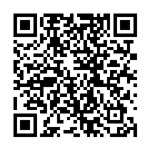 那金眼雪鸠的利爪此时虽然能够抓住夏呈督的身躯二维码生成